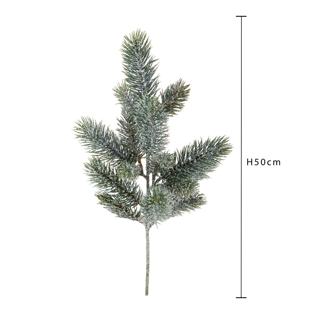 Pezzi 24 •Abete ramo x 15 • H 50 cm