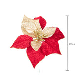 24 Pezzi • Pick con stella • 22 cm