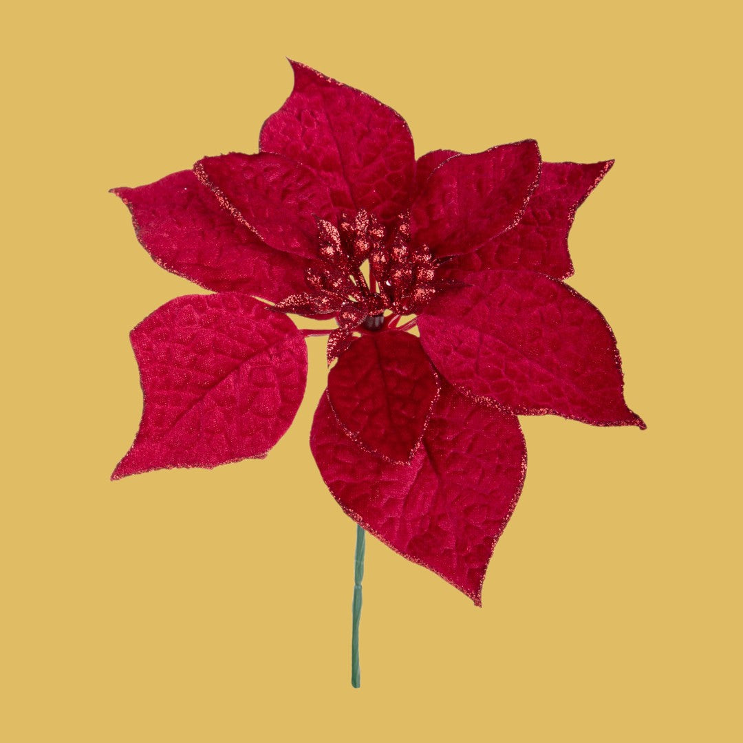 Pezzi 24 • Pick stella natale • H 21 cm
