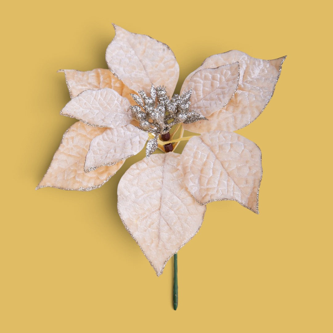 Pezzi 24 • Pick stella natale • H 21 cm