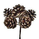 12 Pezzi •  Pick con 6 Pigne  • 2 cm