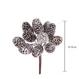 Pezzi 12 • Pick 12 pz mini casorina • H 10 cm