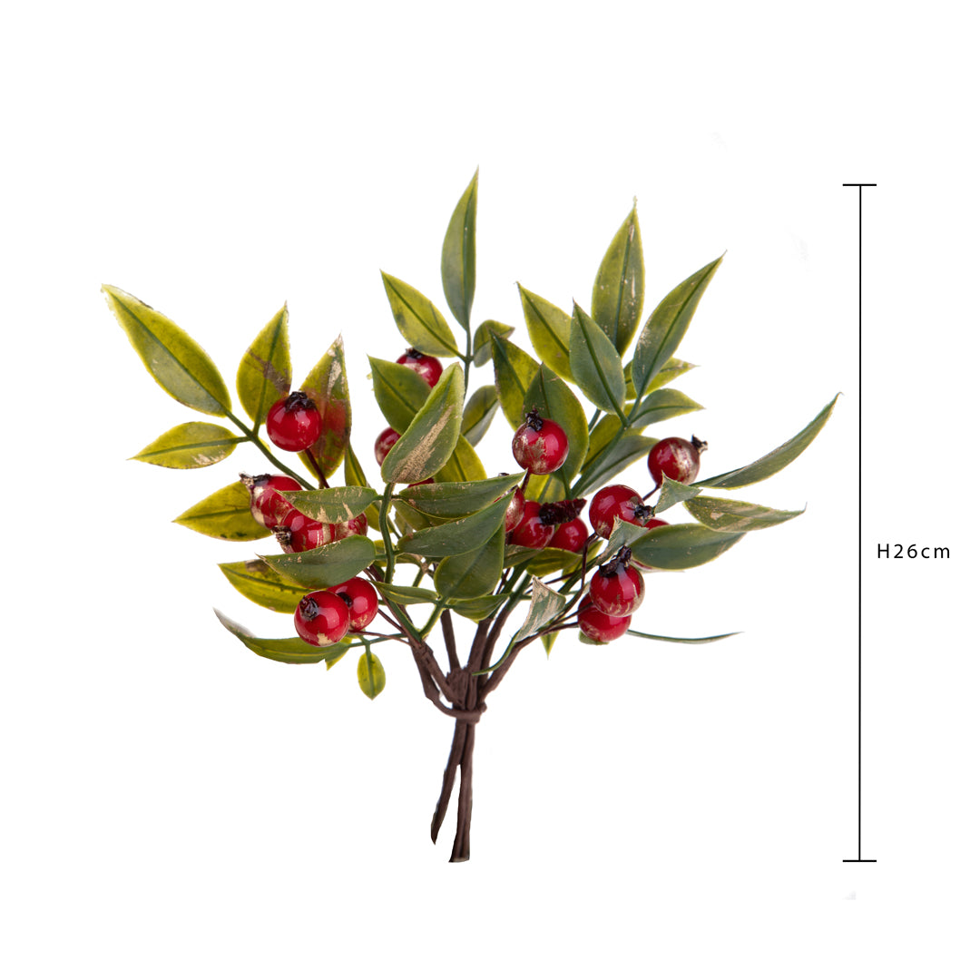 12 Pezzi •  Pick Ruscus per 6  • 16 cm