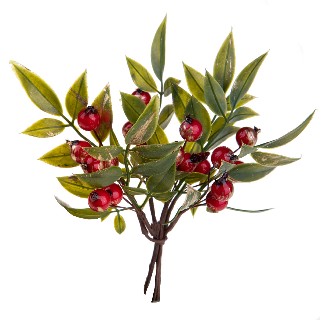 12 Pezzi •  Pick Ruscus per 6  • 16 cm