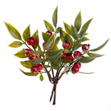 12 Pezzi •  Pick Ruscus per 6  • 16 cm