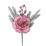 24 Pezzi •  Pick Rosa Cabbage  • 26 cm