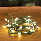 2 Pezzi • Luci con 50 miniled a batterie uso esterno • 5 mt