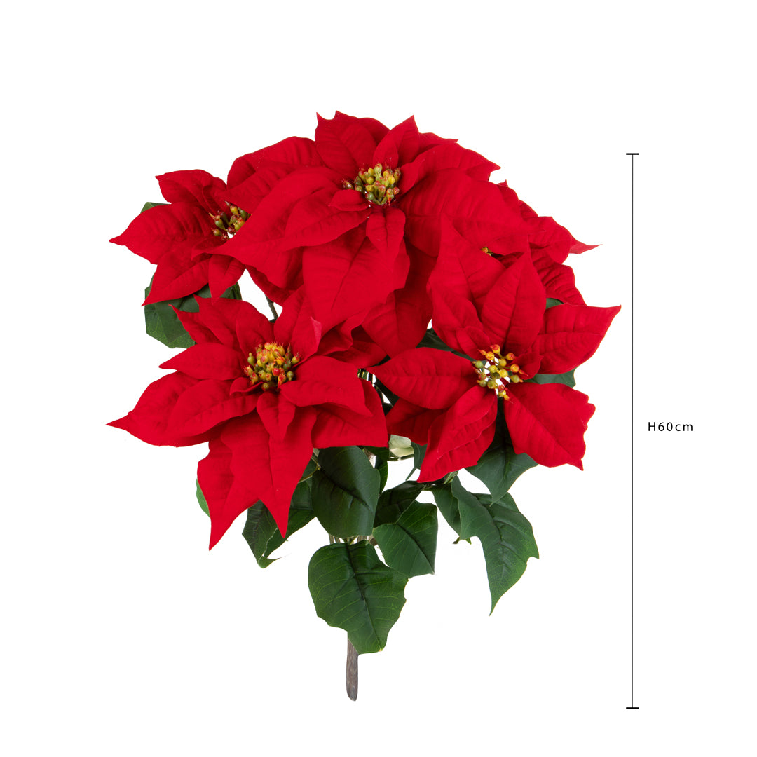 Stella natale cespuglio • H 60 cm