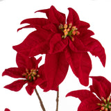 Pezzi 6 • Stella natale • H 106 cm
