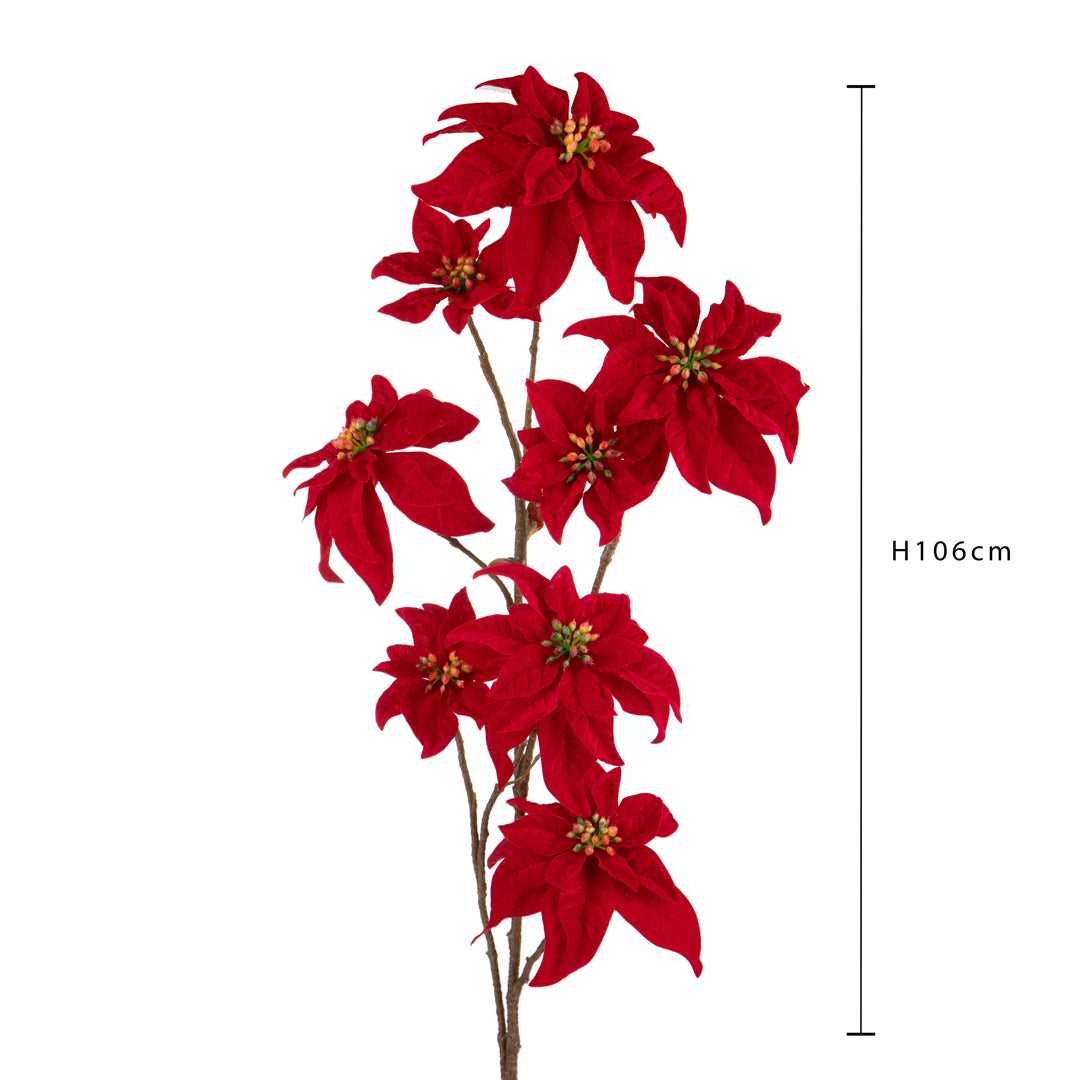 Pezzi 6 • Stella natale • H 106 cm