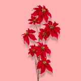 Pezzi 6 • Stella natale • H 106 cm