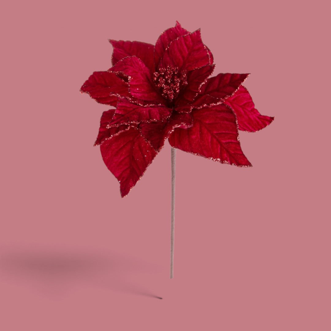 Pezzi 12 • Ramo poinsettia • H 54 cm