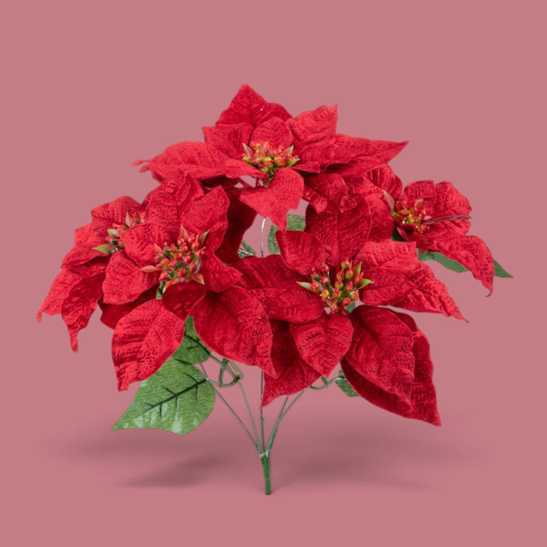 Pezzi 12 • Stella natale velluto • H 35 cm
