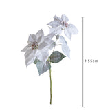 Pezzi 12 • Stella natale con neve • H 55 cm