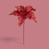 Pezzi 12 • Stella natale con gl. e paillet • H 50 cm