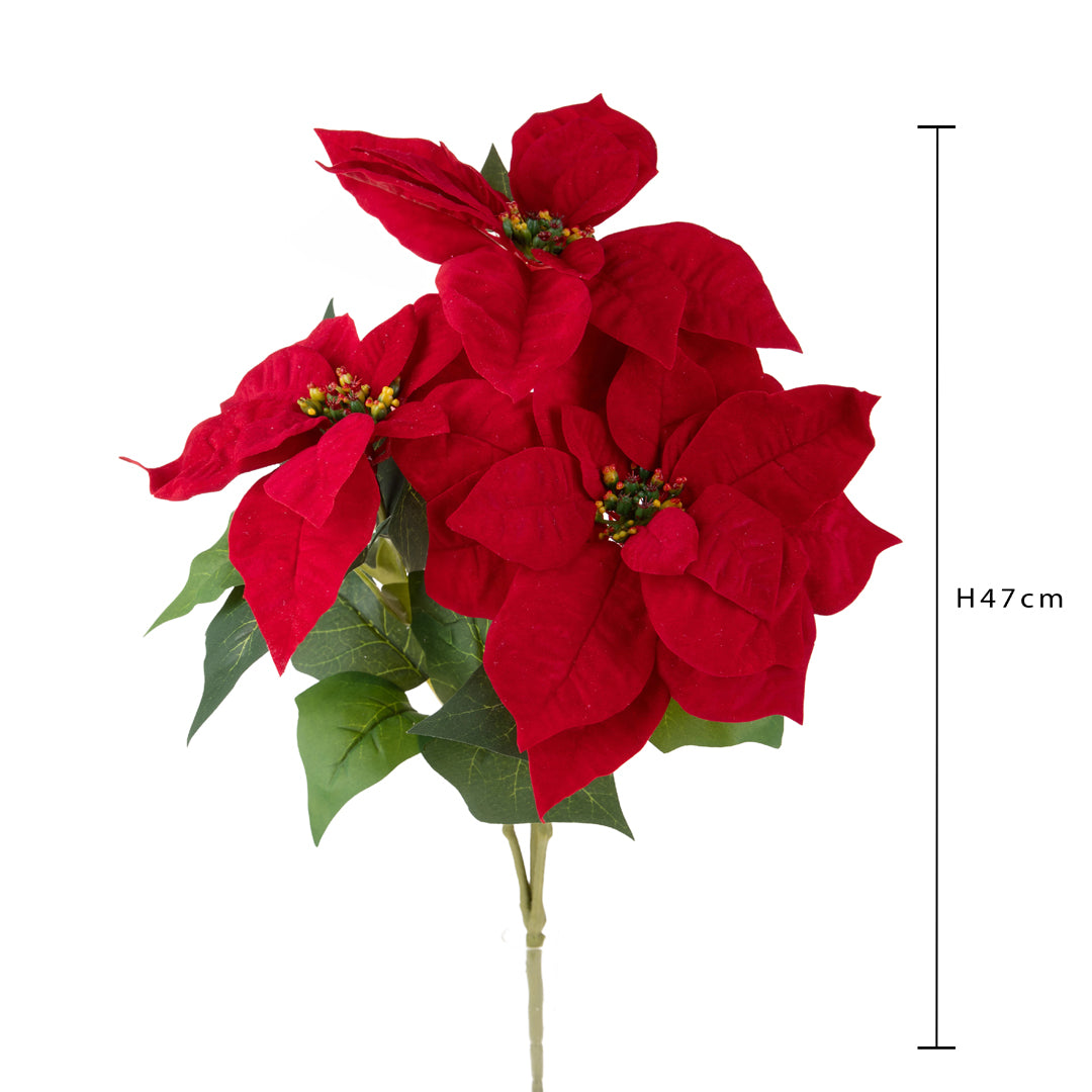 Pezzi 12 • Stella natale d. • H 47 cm