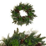 Corona DGreen Pine • 10 cm