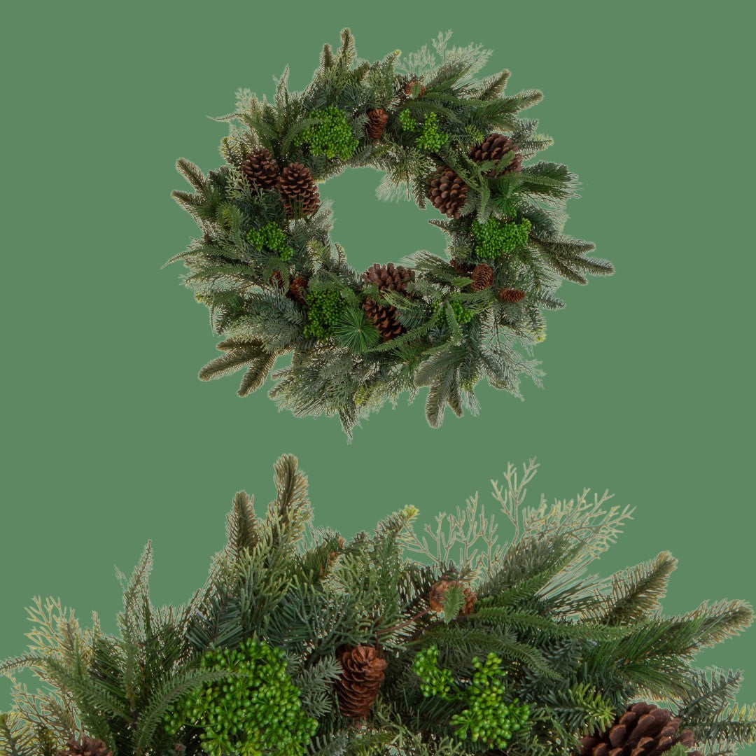 Corona green pine • H 10 cm