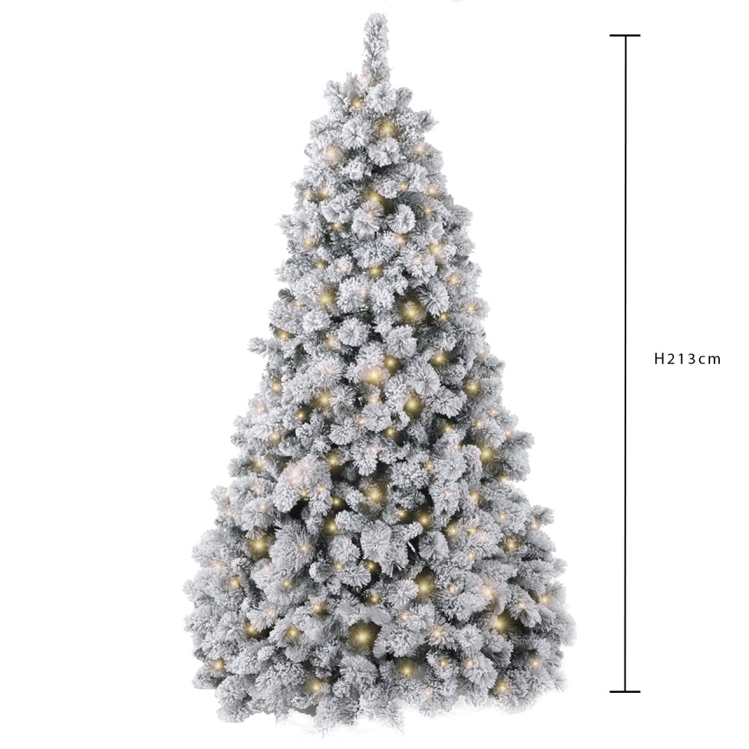 215 k2 con neve led 500 int. pvc+pp • H 213 cm