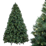 Colorado 600 Led 1728T Pvc  • 240 cm