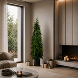 Abete norfolk t.stellato con vaso • H 150 cm