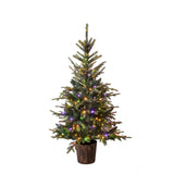 Abete Pe/Pvc 220 Led 356 Rami con Vaso • 150 cm