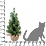 2 Pezzi • Albero di Natale Verde Abete con sacco 45 tips • 47 cm