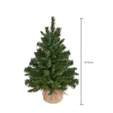 Abete con sacco tips pvc • H 75 cm