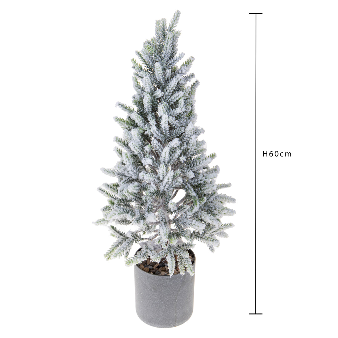 Abete inn. con vaso pe con vaso • H 60 cm