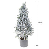Abete inn. con vaso pe con vaso • H 60 cm