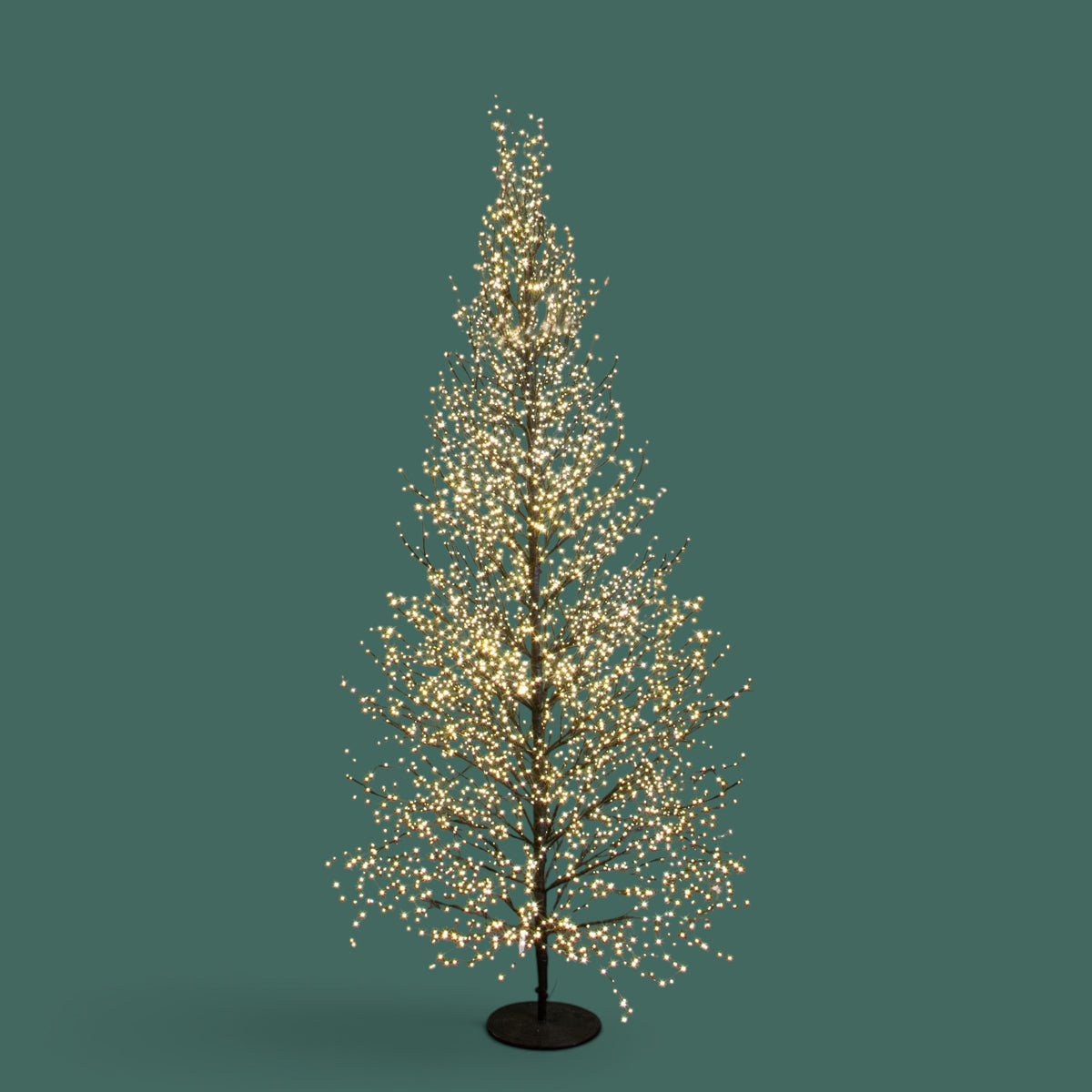 Faggio con 3490 led con flash • H 240 cm