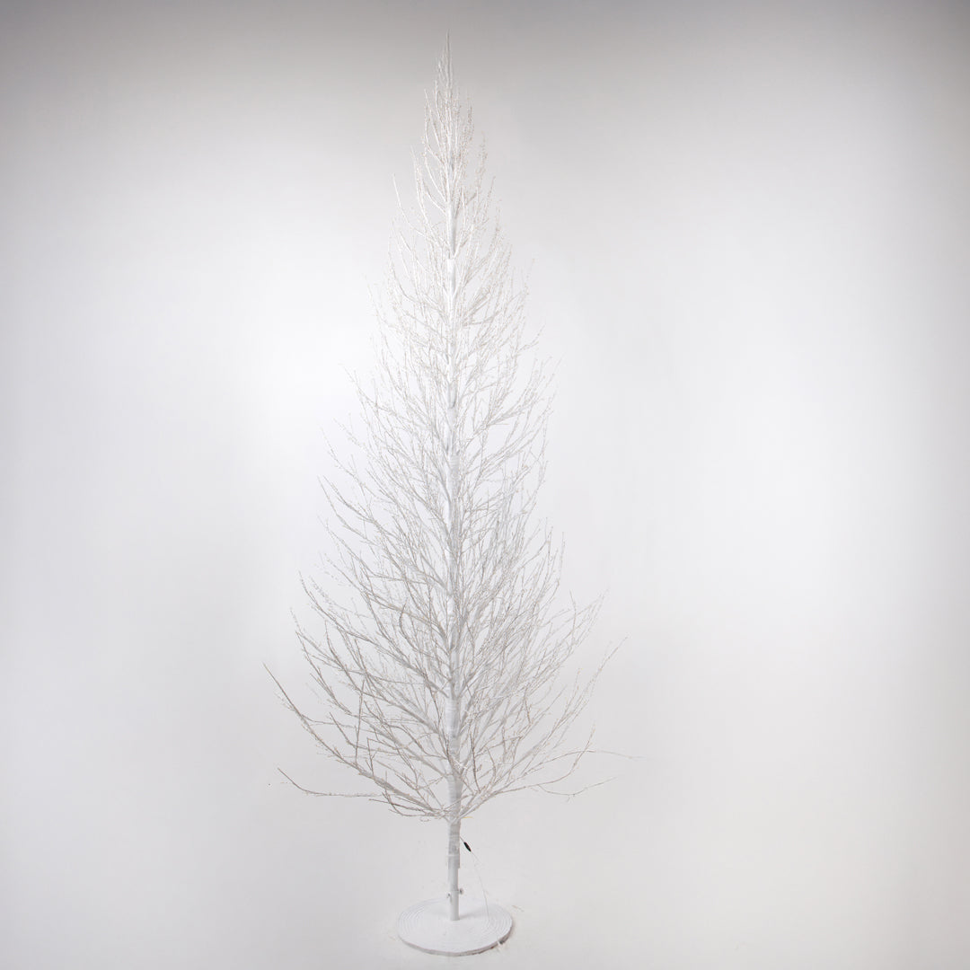 Faggio con 3850 led con flash • H 270 cm