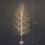 Faggio con 2000 Micro Led da esterno  • 210 cm