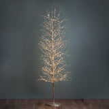 Faggio con 2000 Micro Led Da Est. • 210 cm