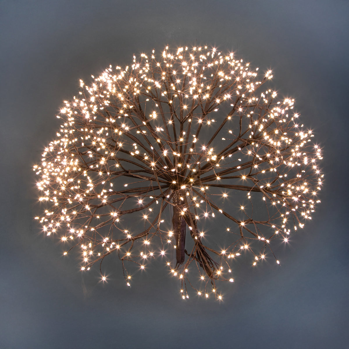 Fiore tarassaco con 912 led daApp • H 50 cm