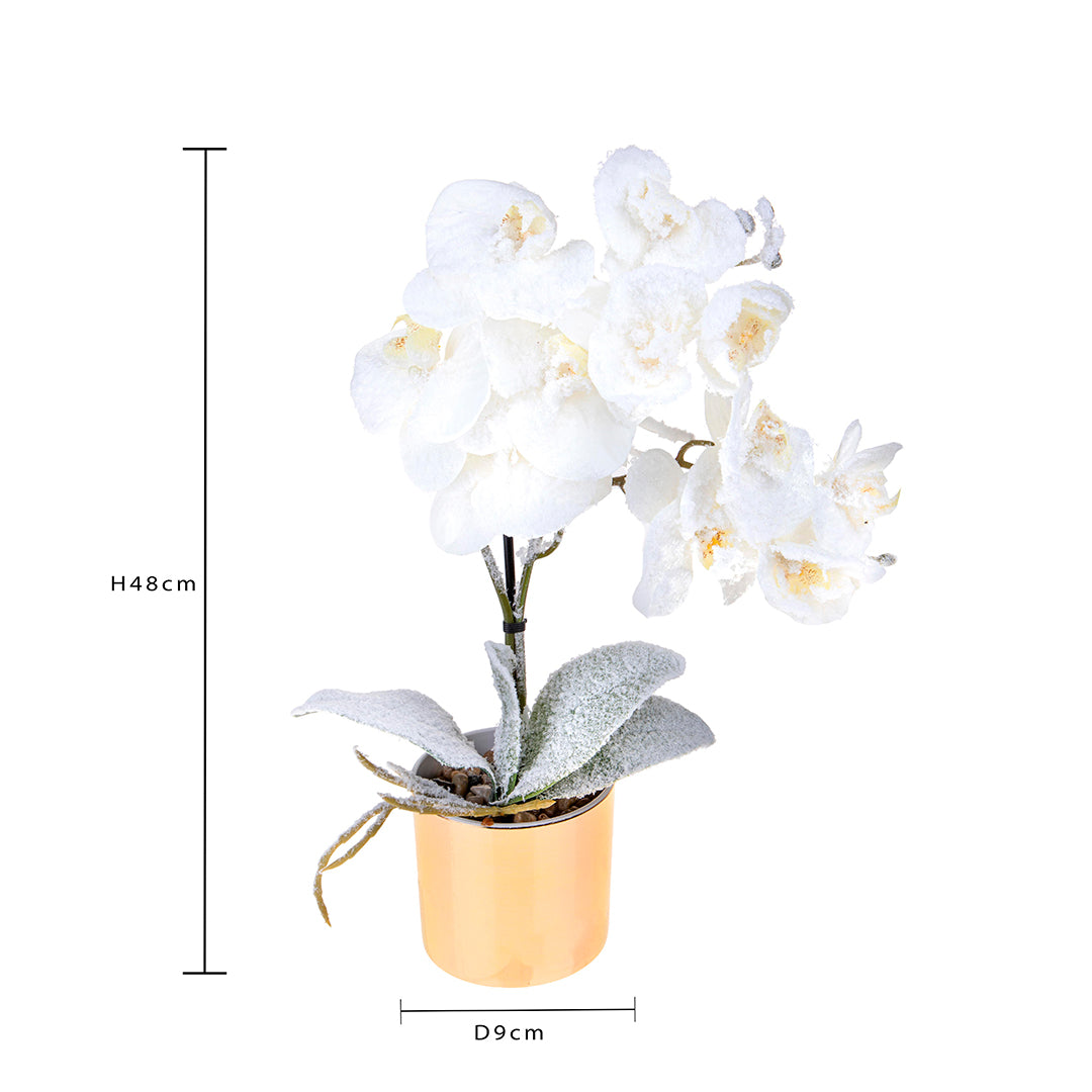 Centrotavola con orchidea • 89 cm