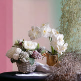 Vaso con orchidea nevicata • H 48 cm