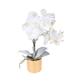 Centrotavola con orchidea • 89 cm