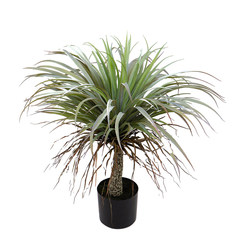 Pianta di Yucca artificialecon vaso • 83 cm