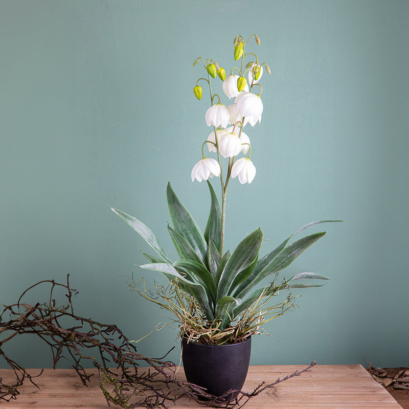 Yucca fiorita con vaso artificiale •  73 cm