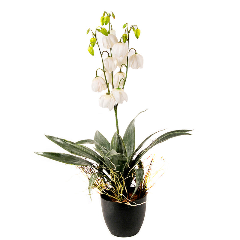 Yucca fiorita con vaso artificiale •  73 cm