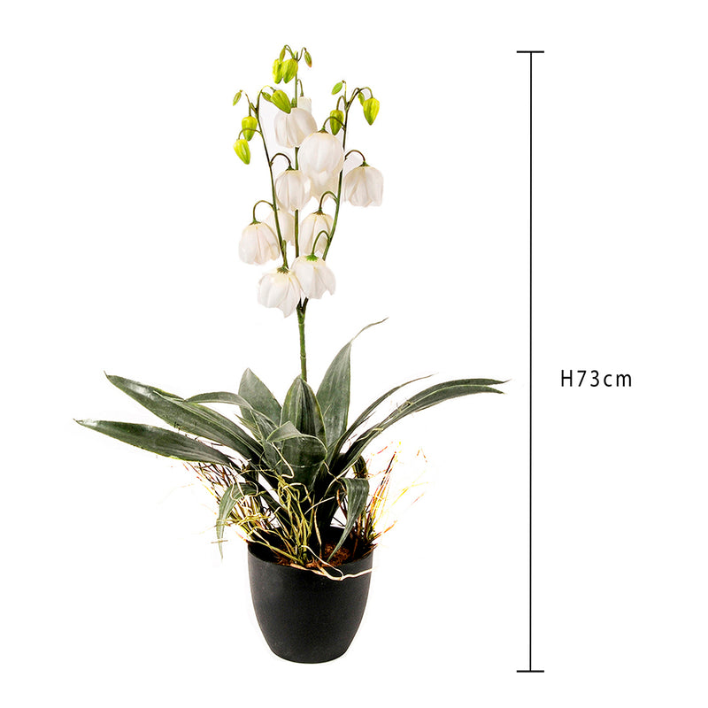 Yucca fiorita con vaso artificiale •  73 cm