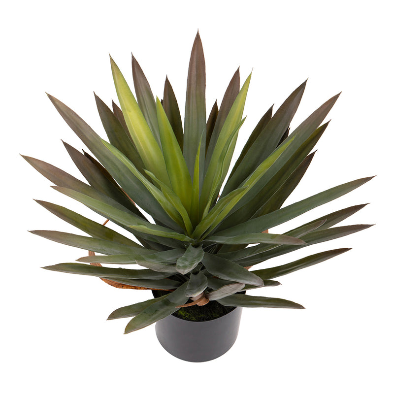 Pianta di Yucca artificiale gloriosa con vaso • 48 cm