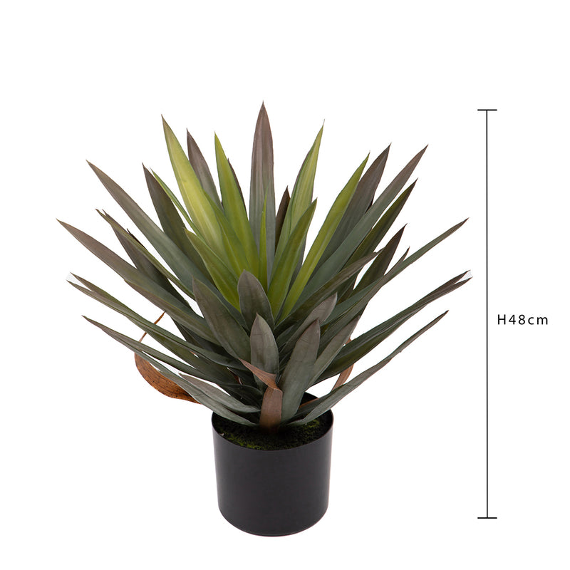 Pianta di Yucca artificiale gloriosa con vaso • 48 cm