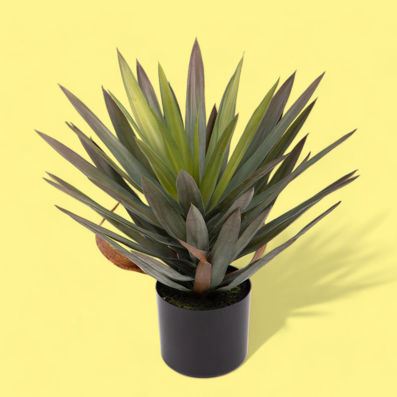 Pianta di Yucca artificiale gloriosa con vaso • 48 cm